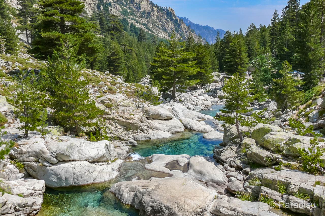 corsuffiziu.fr - Une rivière d'un bleu limpide coule à travers un terrain rocheux entouré de pins et de montagnes sous un ciel lumineux, créant un paysage naturel paisible et pittoresque. corsuffiziu.fr -
